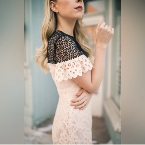 CLUB MONACO Womans Elegant Eyelet Sheath Lace Dress with Ruffle Sleeve Size 4 - Picture 4 of 13